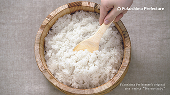 Fukushima Prefecture’s original rice variety “Ten-no-tsubu”