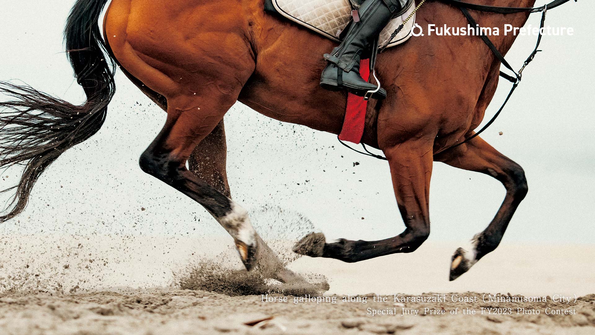 Horse galloping along the Karasuzaki Coast （Minamisoma City）Special Jury Prize of the FY2023 Photo Contest